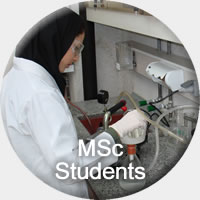 Current MSc Students