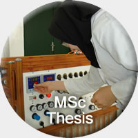 MSc Thesis