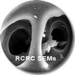 RCRC SEM Images