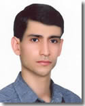 Majid Amereh